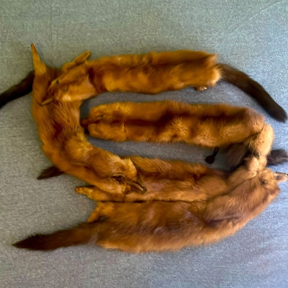 Amazing find! Mink fur stole from the 1940s.